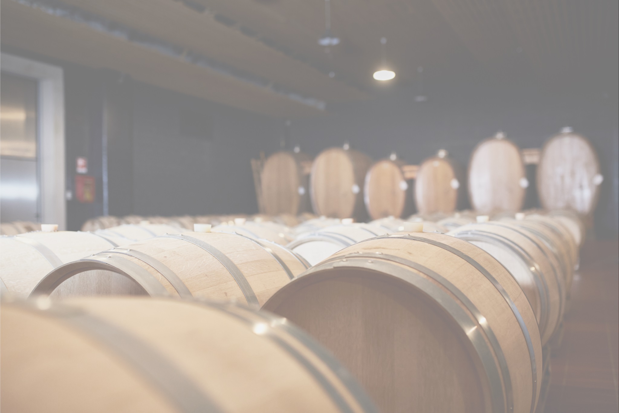 20250805_EW_0285_homepage_modificata