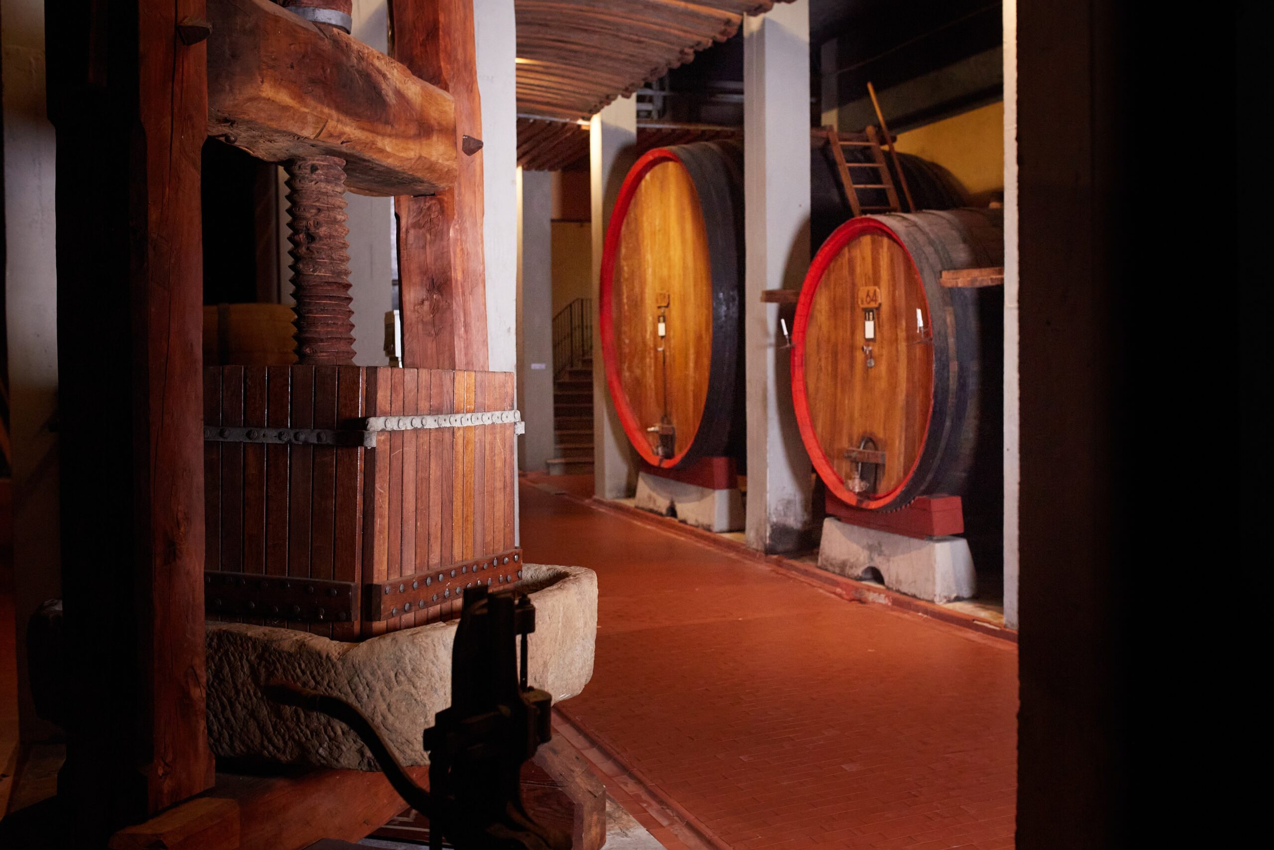 © Davide Dal Mas | All Rights Reserved