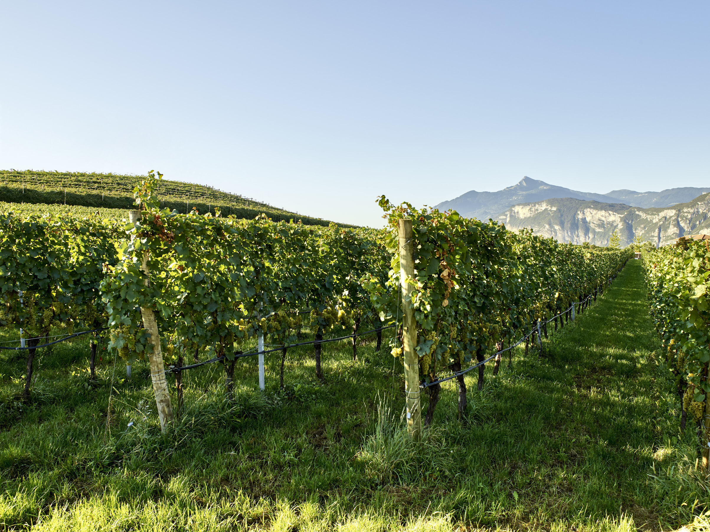 Mas del Diaol 5 - homepage