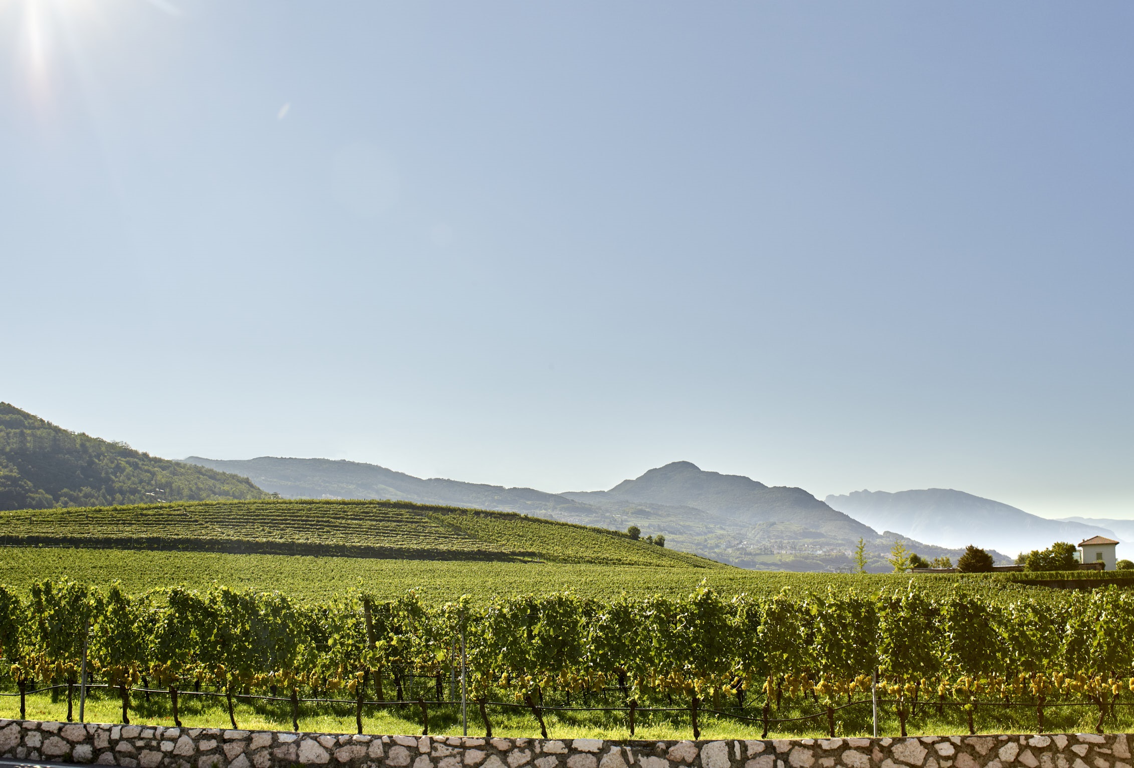 Mas del Diaol 6 - storia di legami