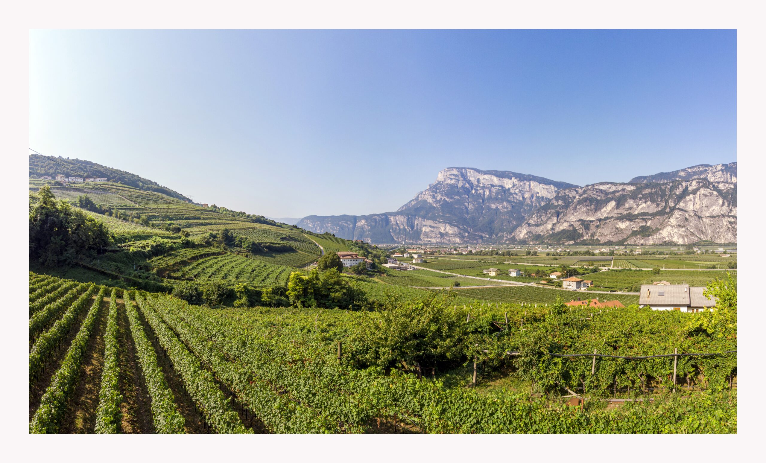©KLRfoto - pano drone - colline avisiane da loc sorni bassa - cantine e vigneti